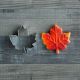 Mini Maple Leaf Cookie Cutter